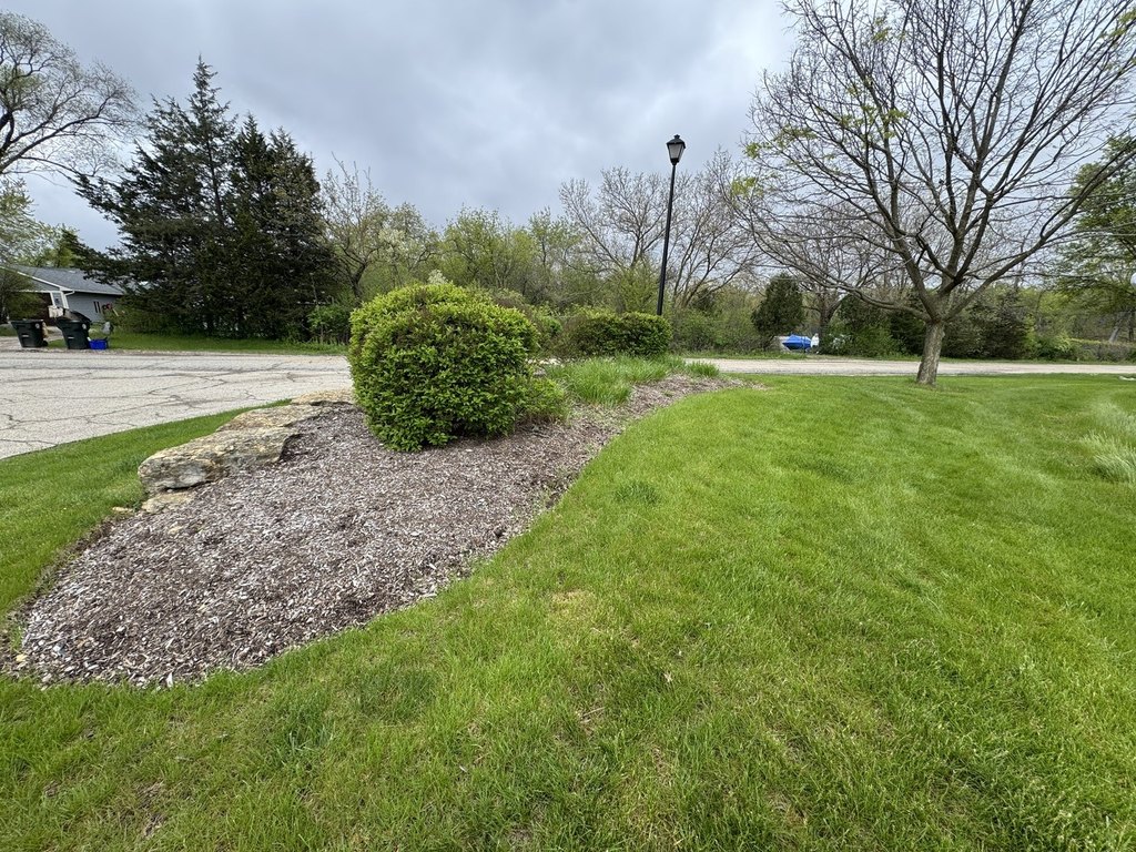 Picture 6
