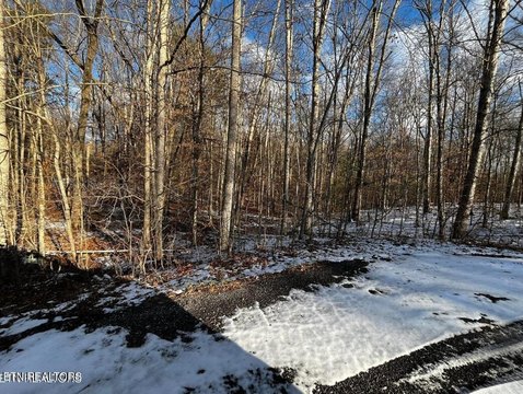 Oneida, TN Acreage For Sale