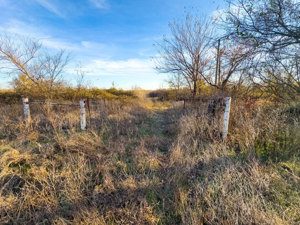 Picture 20