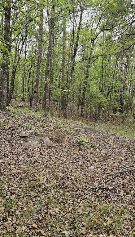 Picture 8