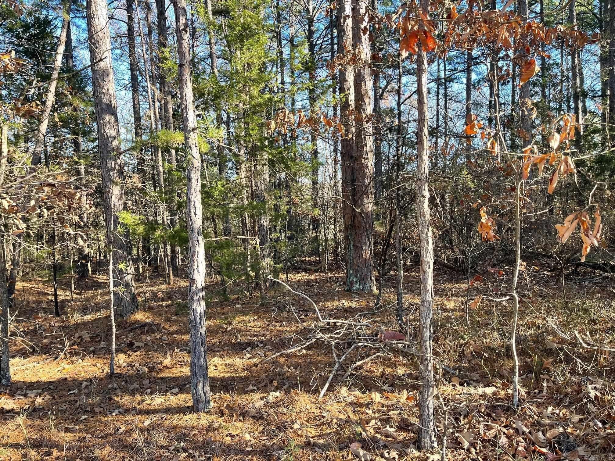 Fairfield Bay Golf Course Lot