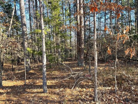 Fairfield Bay Golf Course Lot