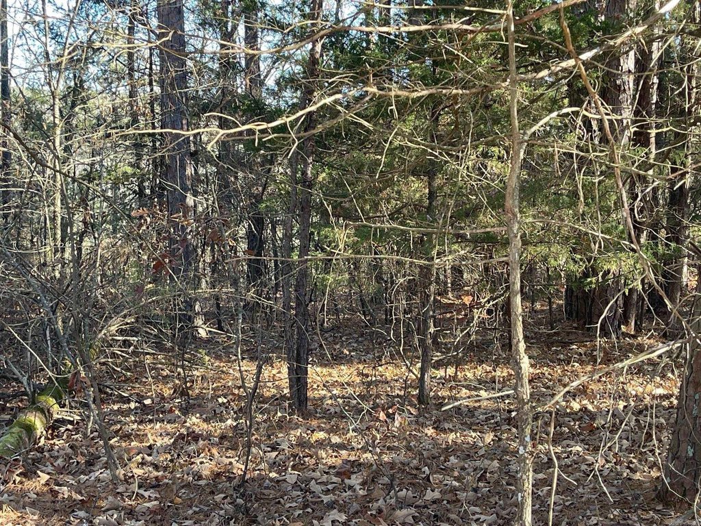 Picture 2