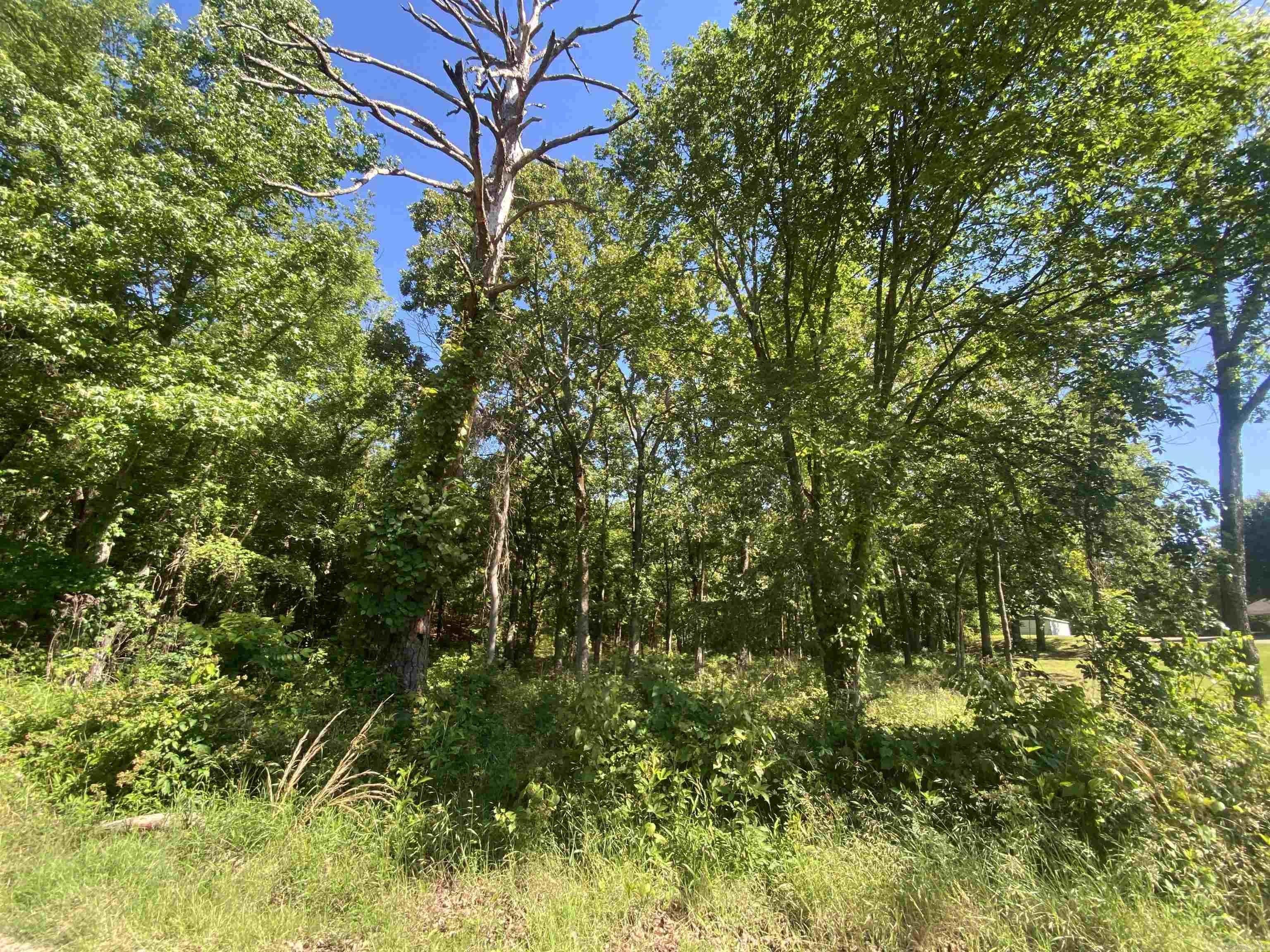 Undeveloped Land in Mount Ida