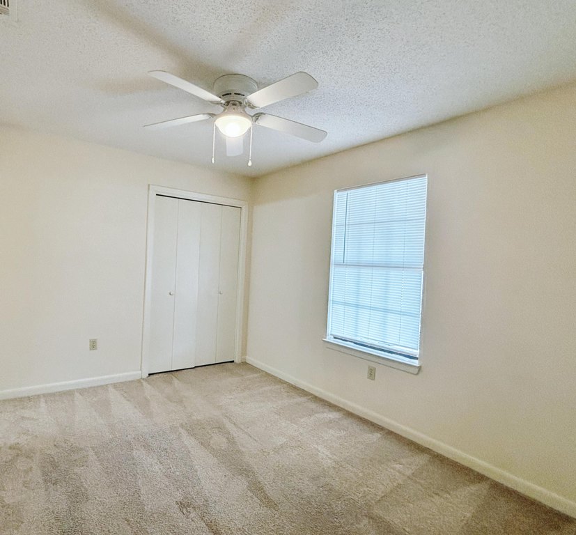 Picture 38
