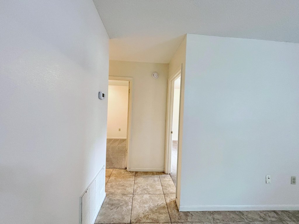 Picture 42