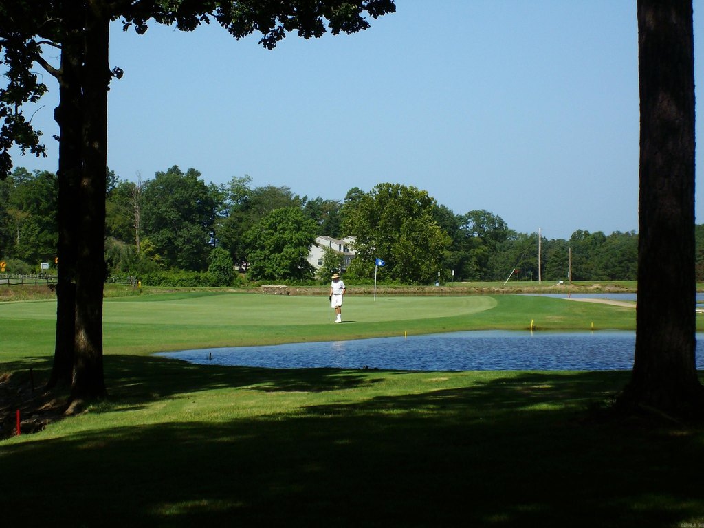 Picture 8