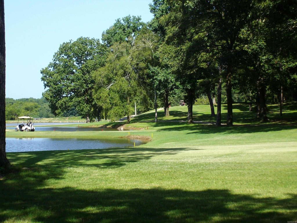 Picture 9