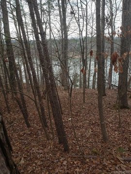 Waterfront Land with Boat Slip