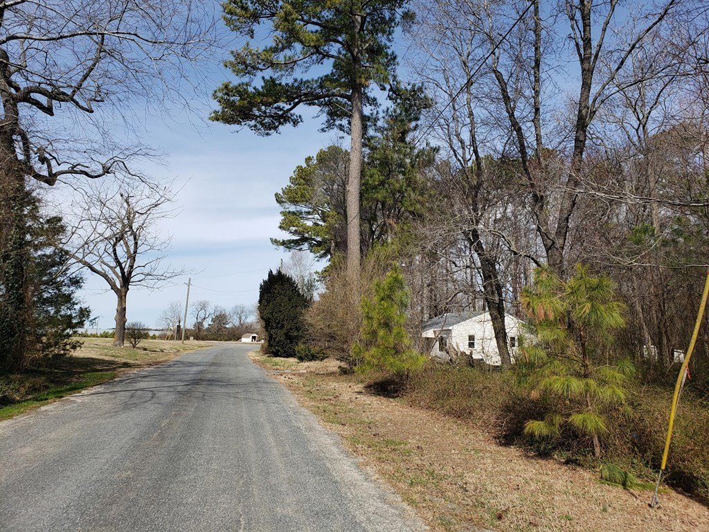 Picture 8