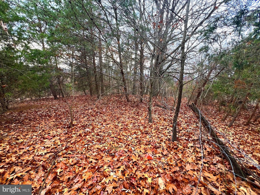 Picture 8