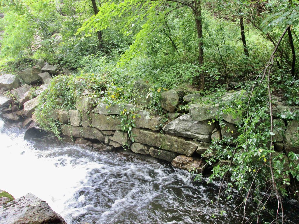 Picture 7