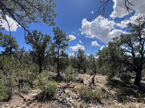 LAND - Ash Fork, AZ