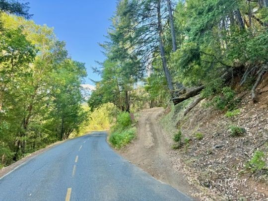 Picture 17