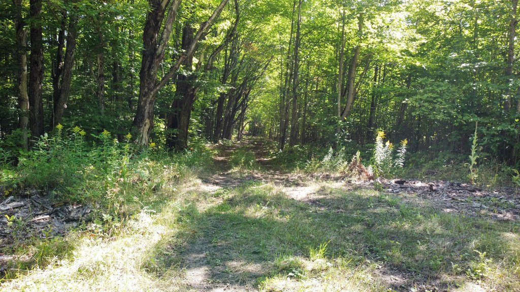 Picture 9