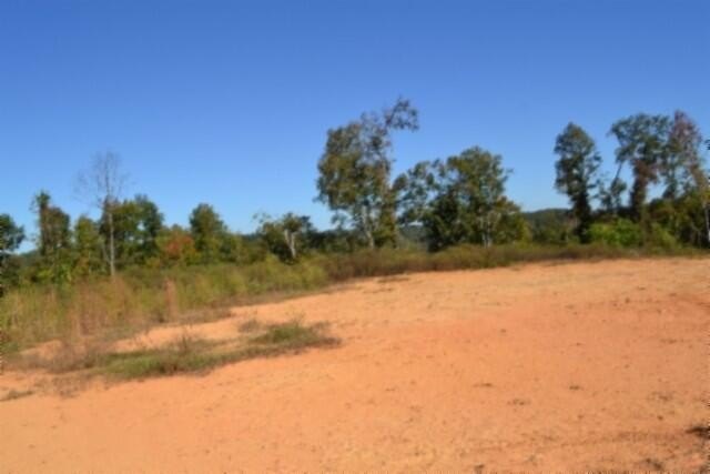 Picture 17