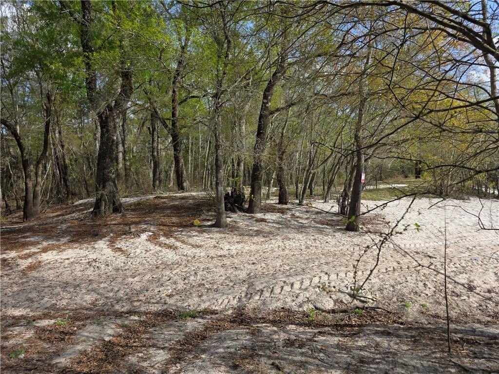 Picture 12