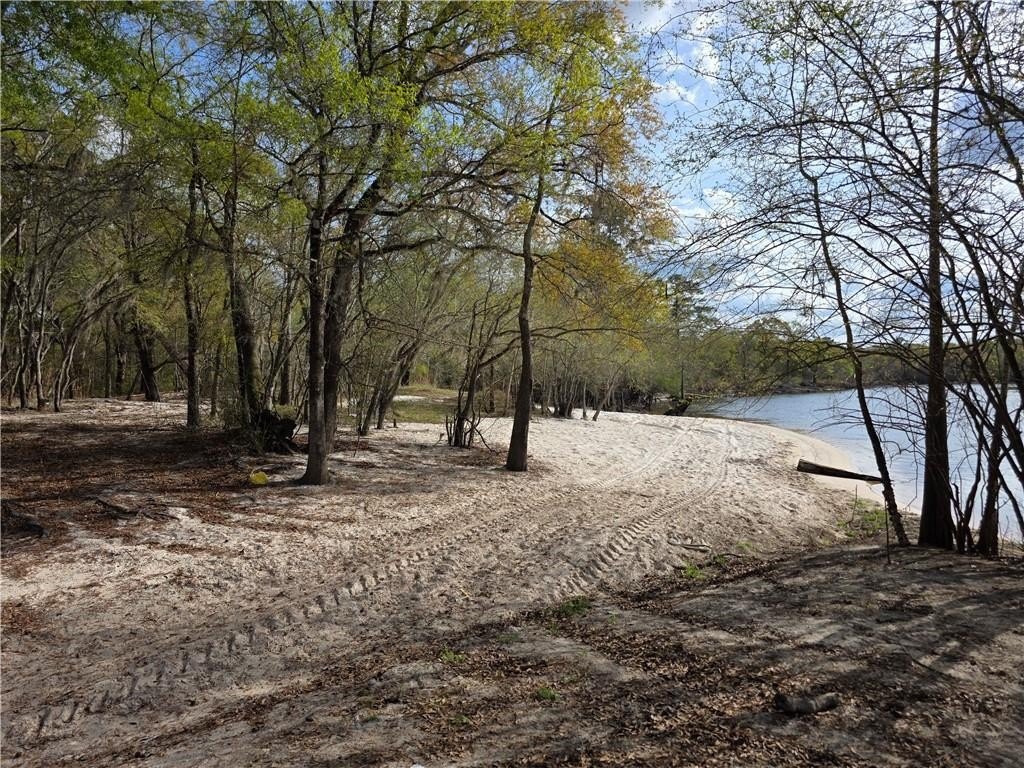 Picture 11