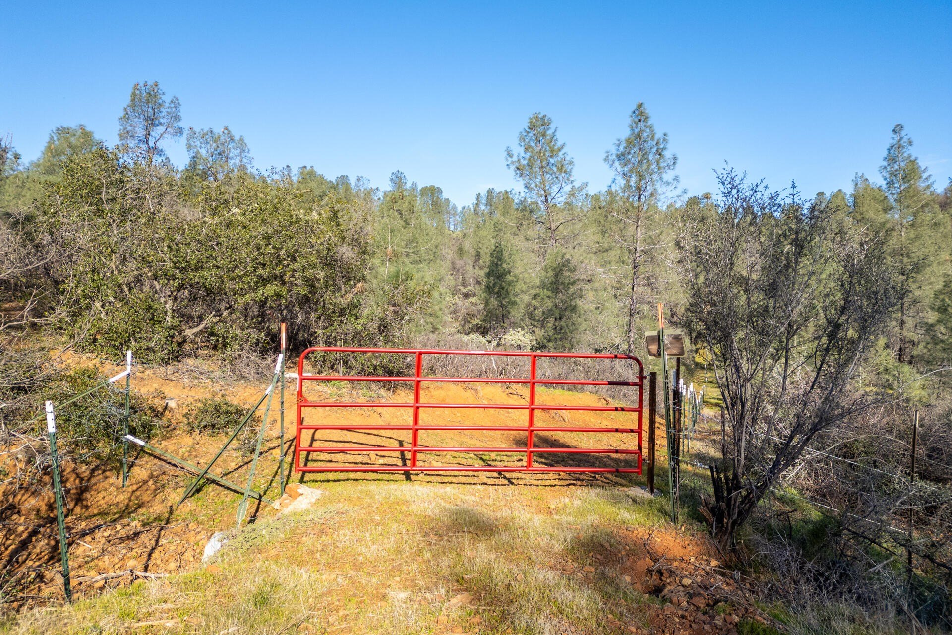 16.6 Acres of Wooded Land