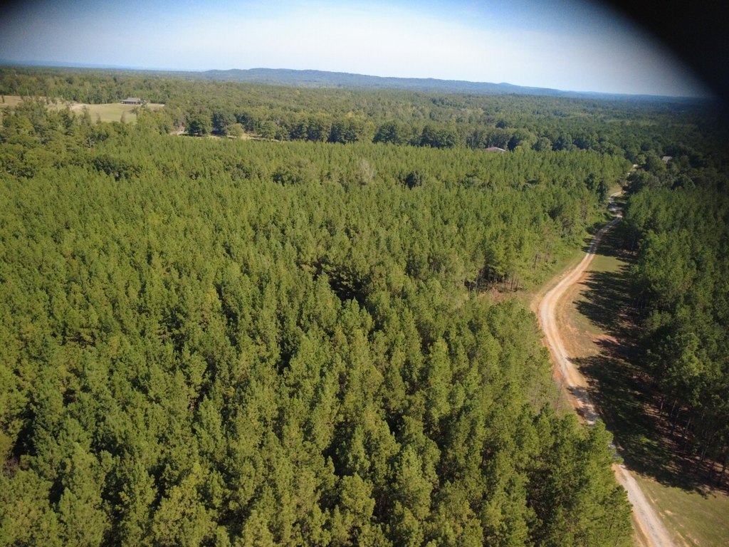 Picture 4