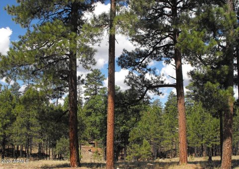 Land, Happy Jack, AZ