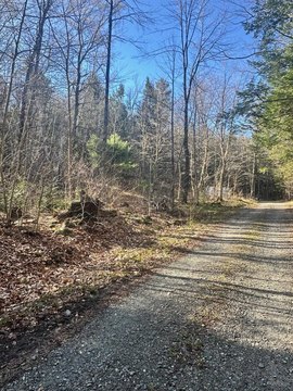 Marlboro Land with Brook