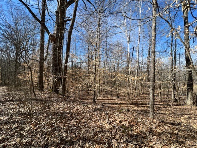 Picture 8