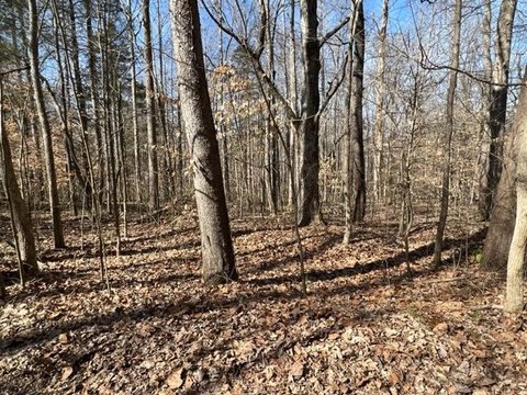 Lake Barkley Waterfront Land