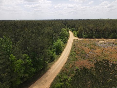 43 Acres Hunting/Timber Investment Land