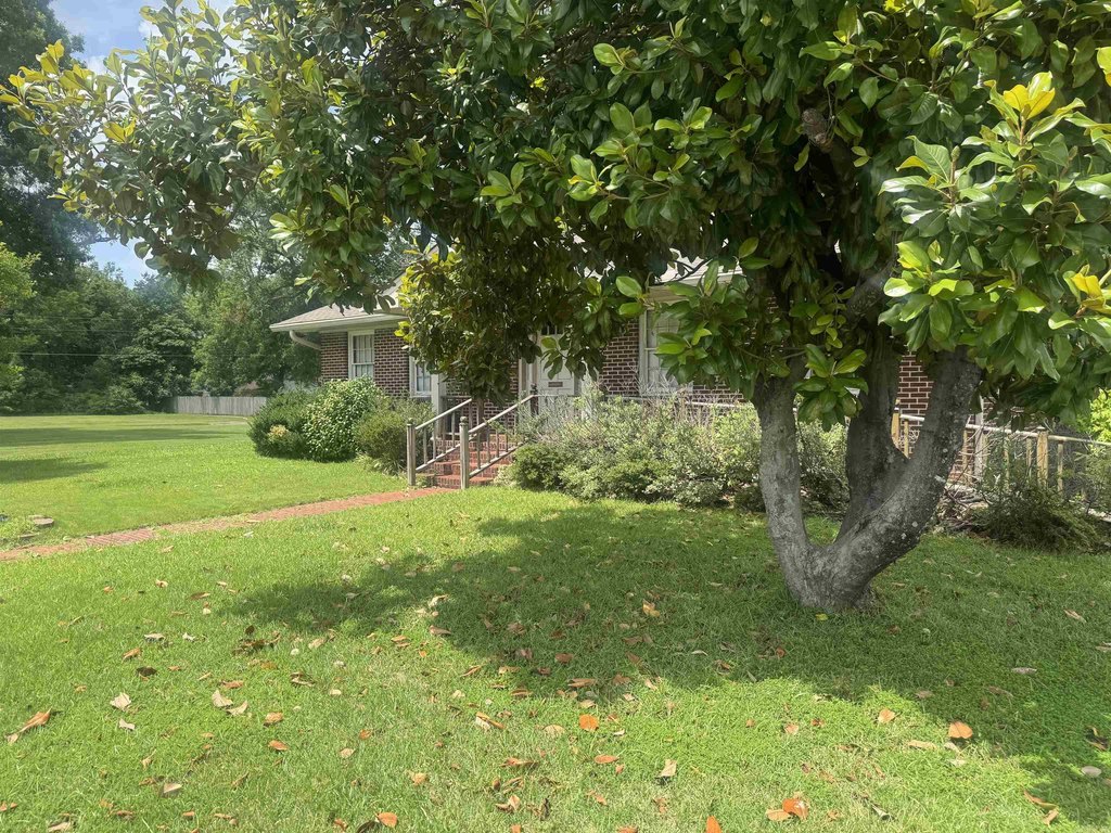 Picture 15
