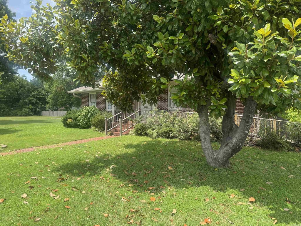 Picture 16