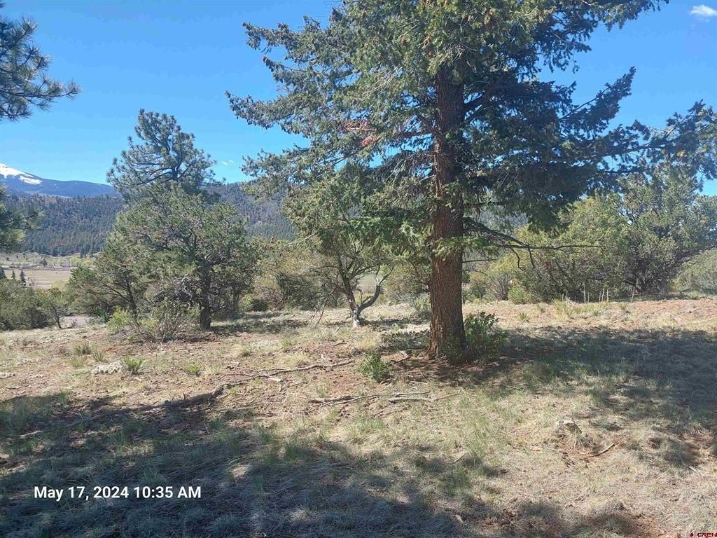 Picture 16