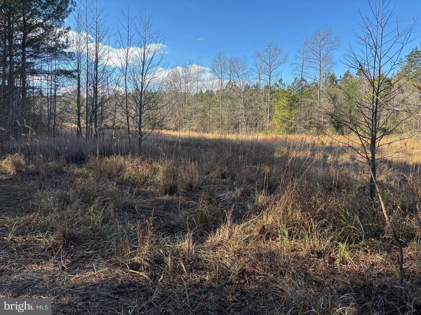 10.15 Acres of Private Land