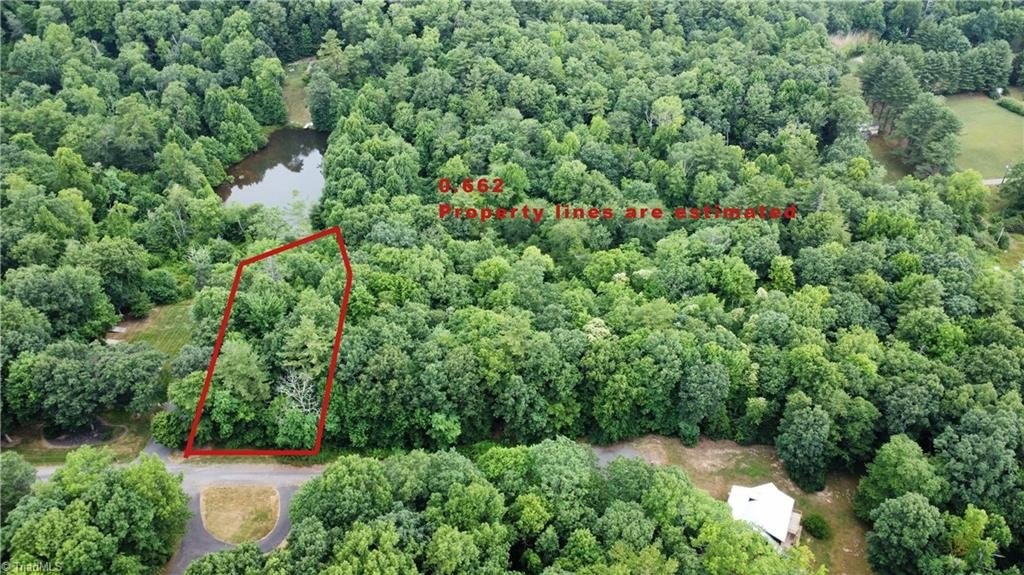 Wooded Lot Near Blue Ridge