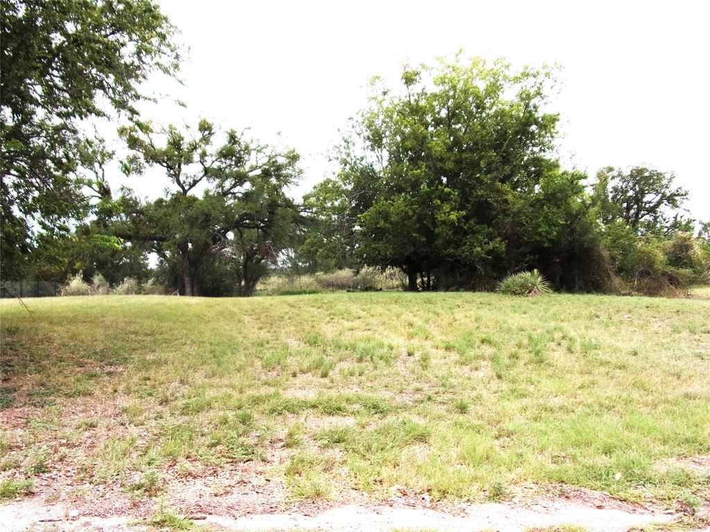 Picture 4