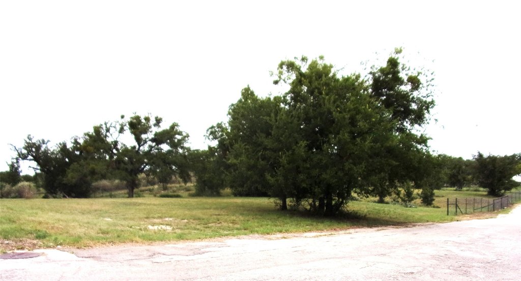 Picture 2