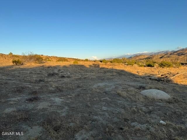Picture 19