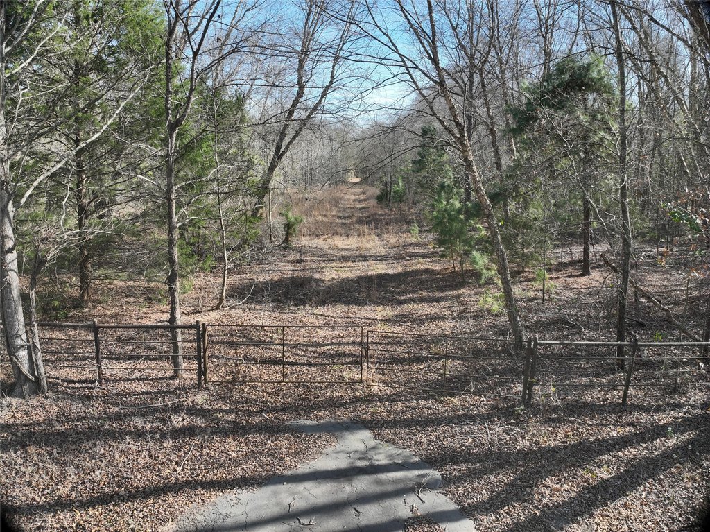 Picture 16