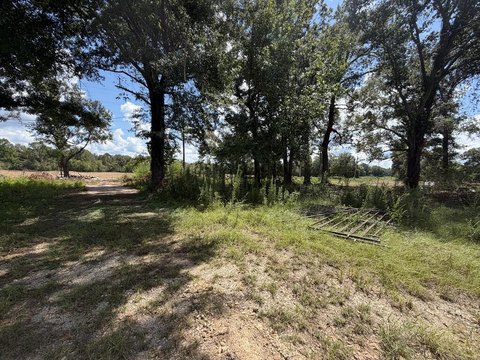 Land, San Augustine, TX
