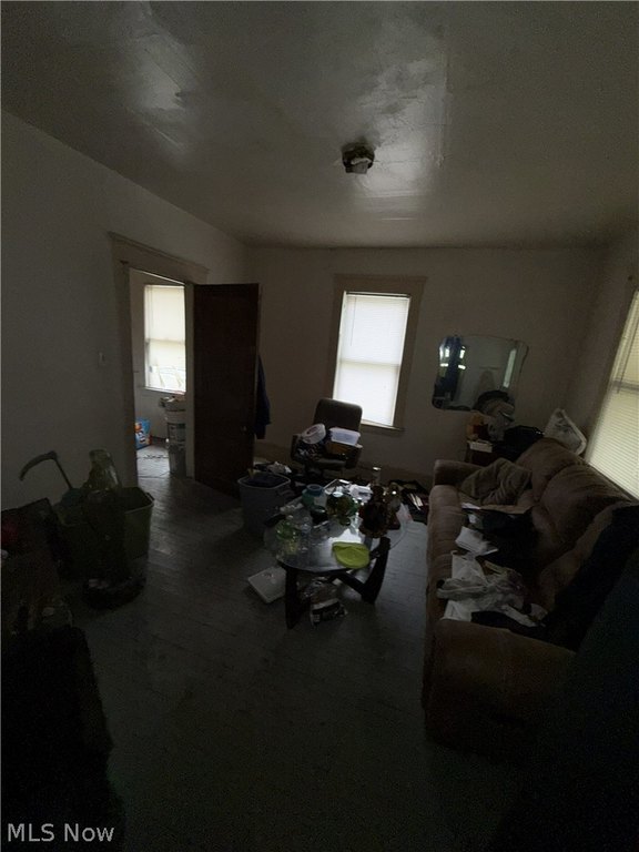 Picture 17