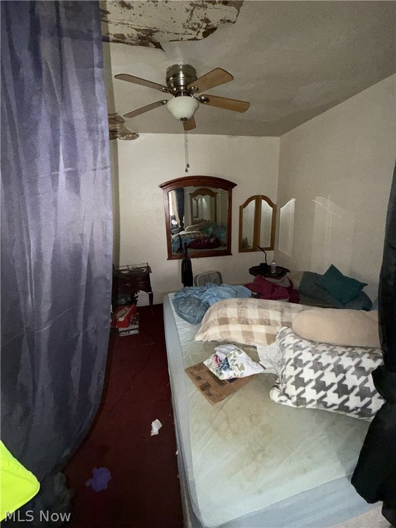 Picture 15