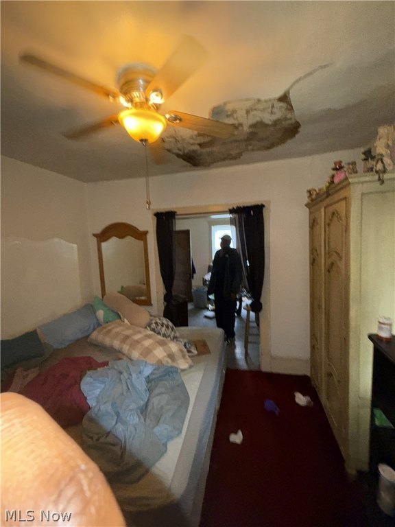 Picture 16
