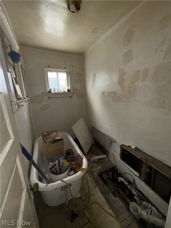 Picture 19