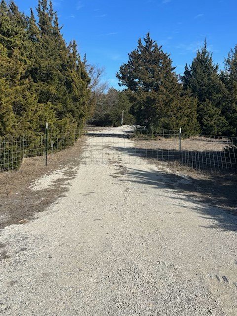 Picture 3