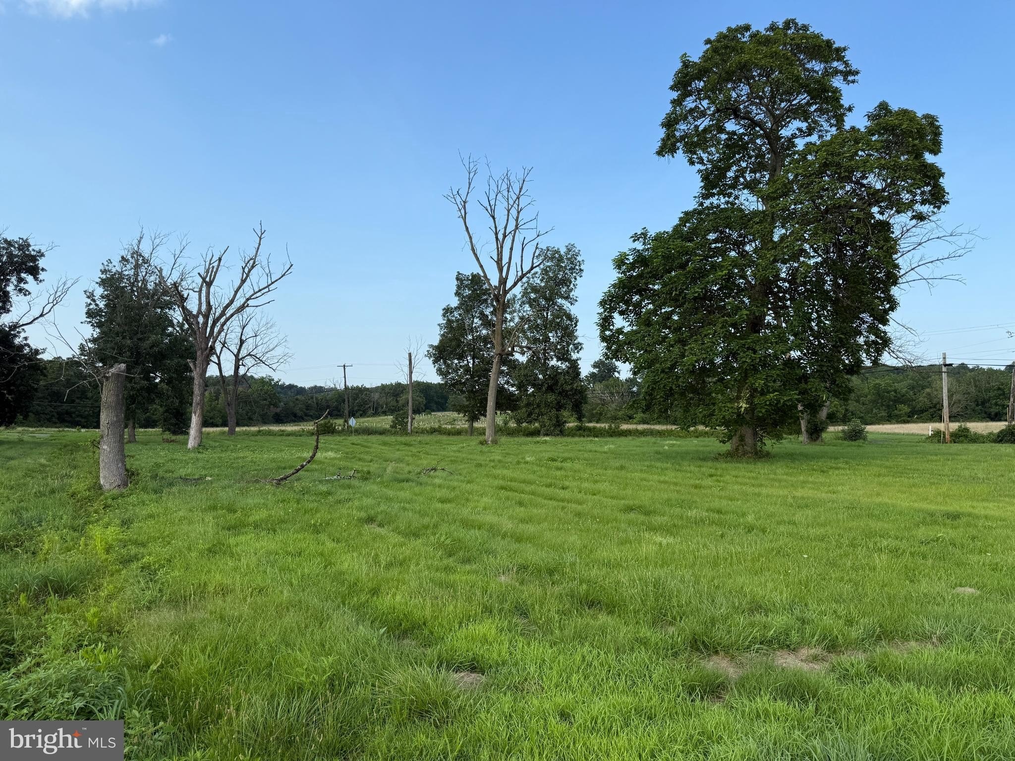 Scenic Farmland Views Land