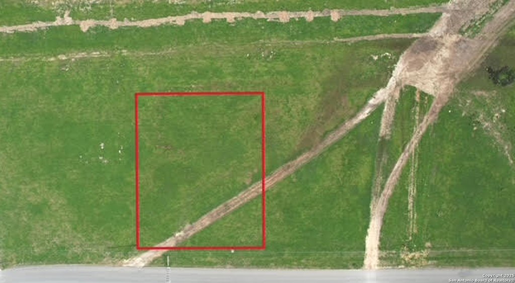 Picture 3