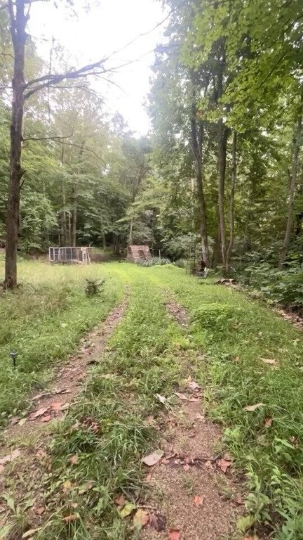 Picture 4