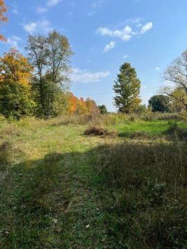 Land, Eau Claire, MI