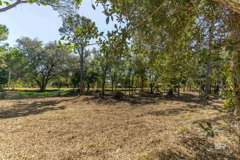 Cleared Residential Lot in Orange Beach