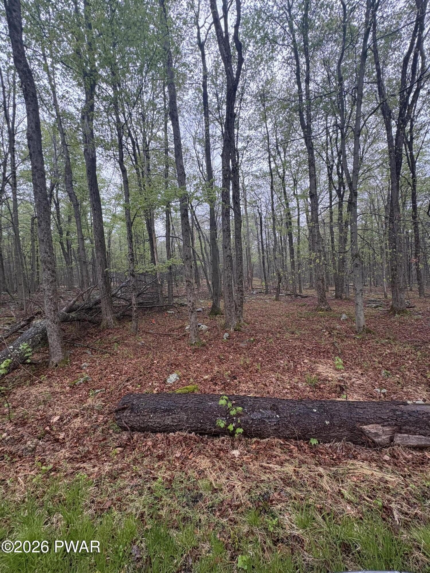 Pocono Springs Level Lot